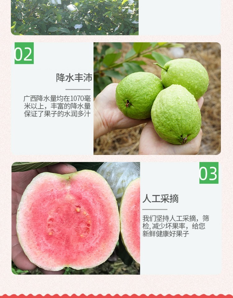 3e9cf324-c70e-4d30-8e0c-adb76d62e7bf.jpe