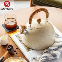 New Stylish Stainless Steel Off-White Sprinkling Whistling Kettle Cross-Border Whistling Kettle Hotel Café 2.5L Flat