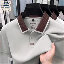230���½������޶�����polo��2026�ļ��¿��������ж�����t������