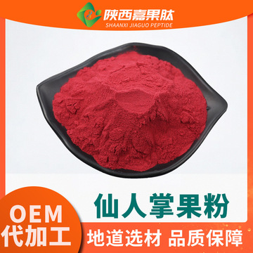 仙人掌果粉 99% 速溶仙人掌冻干粉 植物果蔬粉 喷雾干燥 仙人掌粉-阿里巴巴
