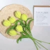 Light yellow tulip single without packaging