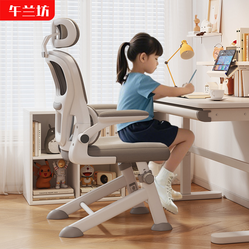 Children's Learning Chair, Student Chair, Youth Adjustable Seat, Home Writing Chair, Adjustable Desk Computer Chair