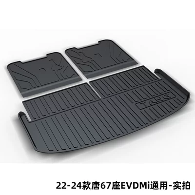 Song Pro Dolphin Qin Plus Han: Trunk Mat - 22-24-tang-67-seater-evdmi-universal-dedicated-car