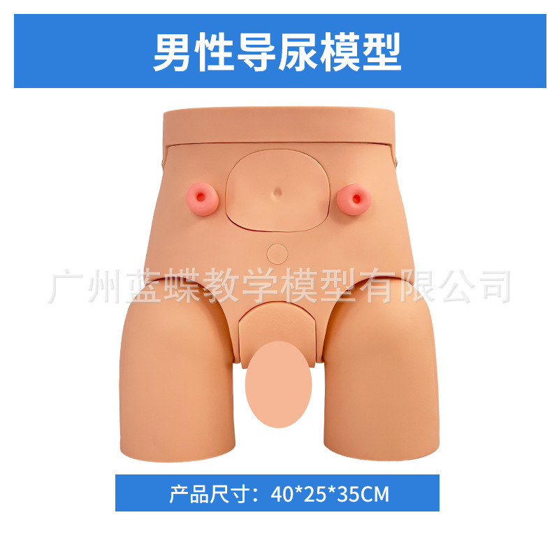 ����������ֳ����ģ�ͼ��׵���ģ����Ů�Ե���ѵ����ʾ��ϰģ��