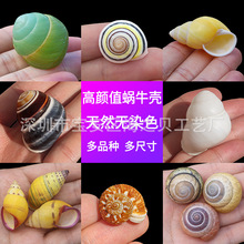 ΁ţ����Ȼ����ؐ���ղ�����˱����~���쾰�bľ�з��Q�����l