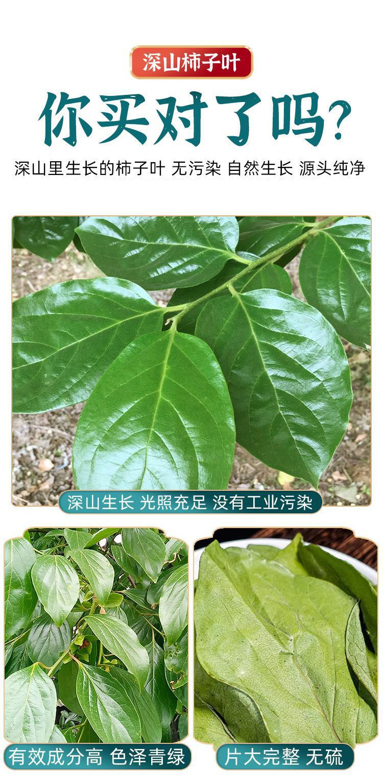 Dried Persimmon Leaf Shi Ye 100g Sun Dried Herbal Tea Leaves for Daily Infusion quality and texture
