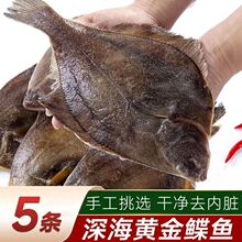 鲜冻鲽鱼整条带头冷冻海鲜新鲜黄金鲽鱼深海船冻营养丰富