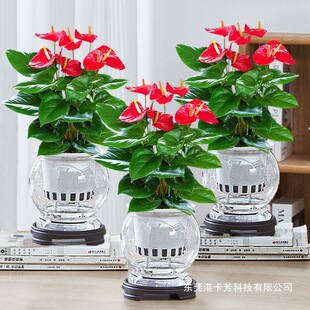 �t��ˮ��ֲ�������҃ȾGֲ�����ļ����B�����՚��k���ҿ͏d������