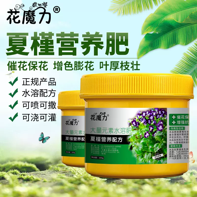 夏槿(夏堇)专用营养肥花公草花瓜草蝴蝶草蓝猪耳盆栽地栽庭院四季