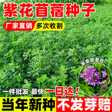 ��ޣ�N�����l�ϻ���ޣ�����ͺ��o�·N���ϱ���ţ�����ļ����ݲݷN