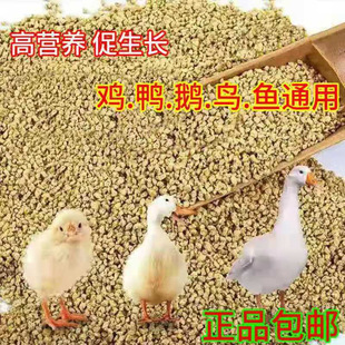 С�u���a���u��ϠI�B����ʳ��С�Z����J���u�_�ڼZ��~�w������