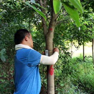 ������Ӣ��10CM���Զ�Ӣ14-20����ȫ�چ�ľ�ؗU��U���Aȫ�ڶ�Ӣ