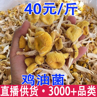 �u�;���؛ �S�z�� ���S����؛���y�خa��؛���l