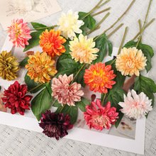 �羳�����շ��滨��c�������zӰ�b��Ҿ��b����������滨