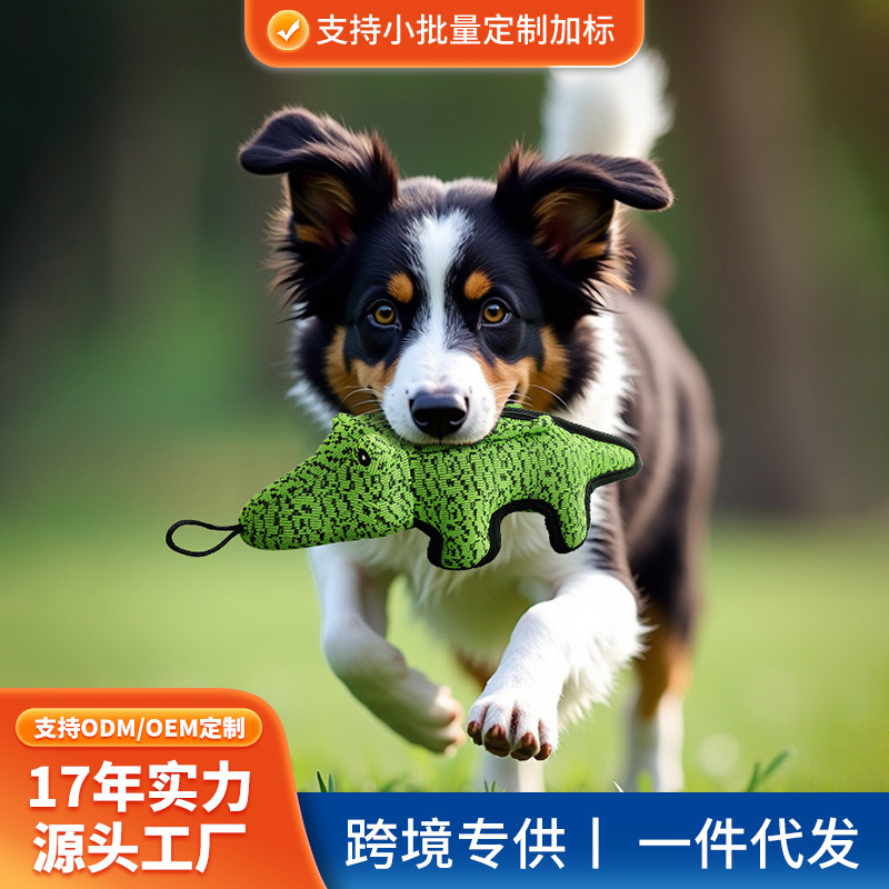 국경을 넘나드는 애완동물 직물 장난감, 악어 공룡 모조품, 심심함을 해소해주는 강아지 장난감, 애완동물 용품