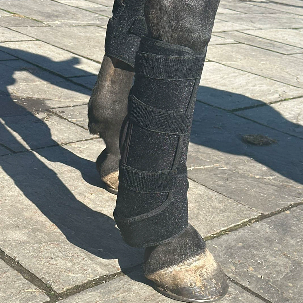 Терапевтический LED-аппарат для лошадей с красным и инфракрасным светом, для упражнений и обогрева ног, с ремнями и наколенниками