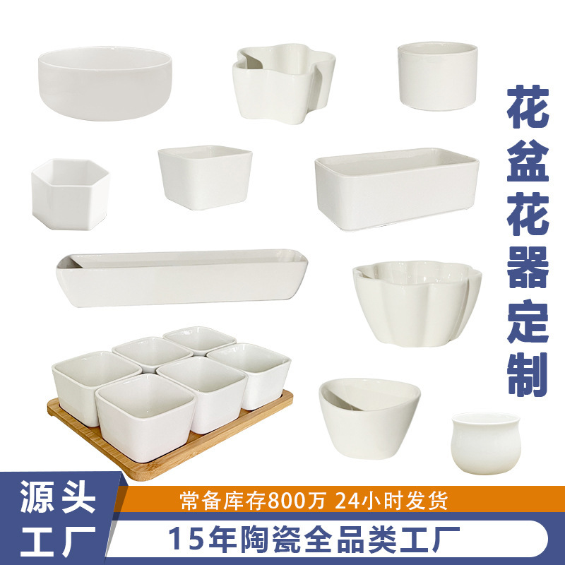 多肉专用盆陶瓷带托盘亚马逊桌面小盆栽小号白瓷盆迷你白色小花盆|undefined
