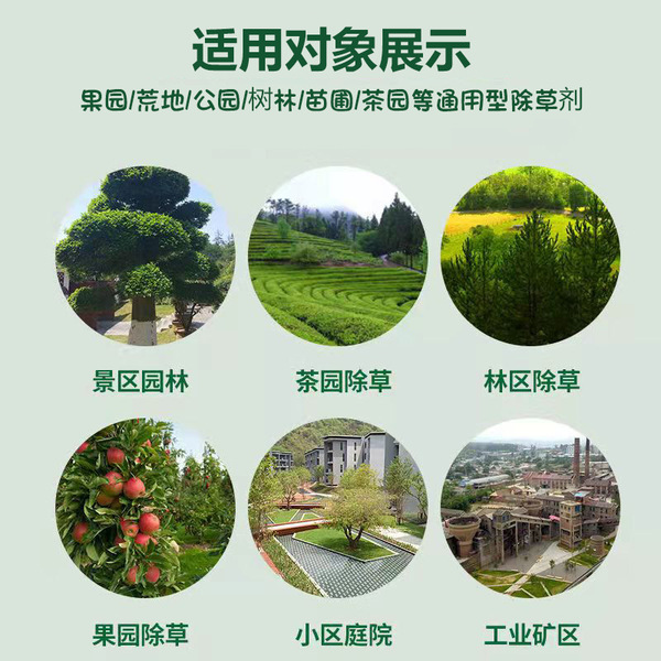 20%cinobacterium
