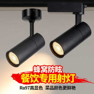Full Spectrum Track Spotlight LED Spotlight Store Commercial COB Living Room Home Embedded Store Guide Rail Magnetic Light
