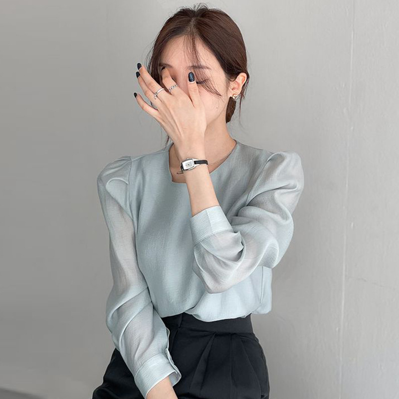 Korean chic early spring fashion simple round neck mesh micro transparent one button hollow out long sleeve bottoming shirt top for women
