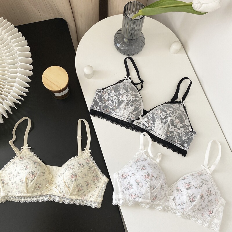 Factory Direct Sales Cross-Border E-Commerce Southeast Asia Vietnam Thailand Women's French Triangle Cup Small Breast Comfortable Push-Up Bra