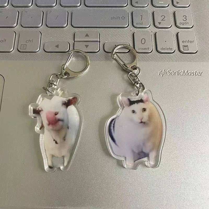 아크릴 키 체인 새로운 귀여운 고양이 밈 키 체인 우는 고양이 키 체인 잘못된 고양이 펜던트 키