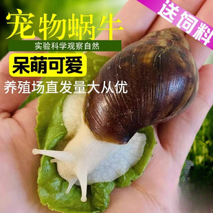 ΁ţ����΁ţ���w�[���W�����ƌW�^����B��ֳ��΁ţ�^�p����