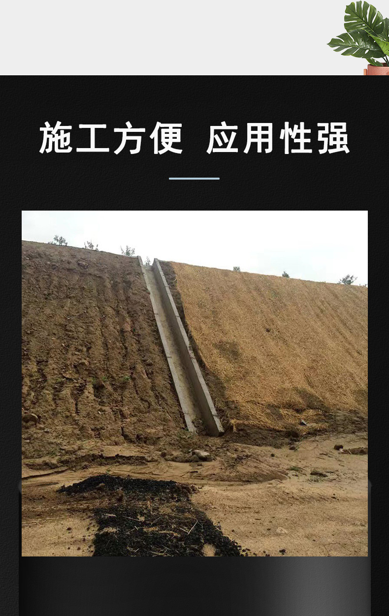 1_03.jpg