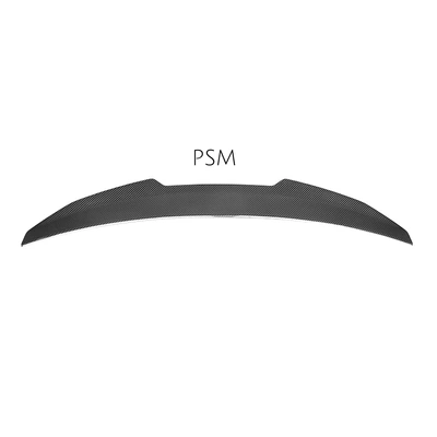 Fixed wind wing rear spoiler PSM model CS