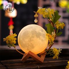 中秋氛围感月亮灯摆件花艺配件古风中式发光月球diy花灯鲜花材料