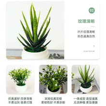 ���l����Gֲ�k������������J�CС�[������G�}ֲ��ٻ�����