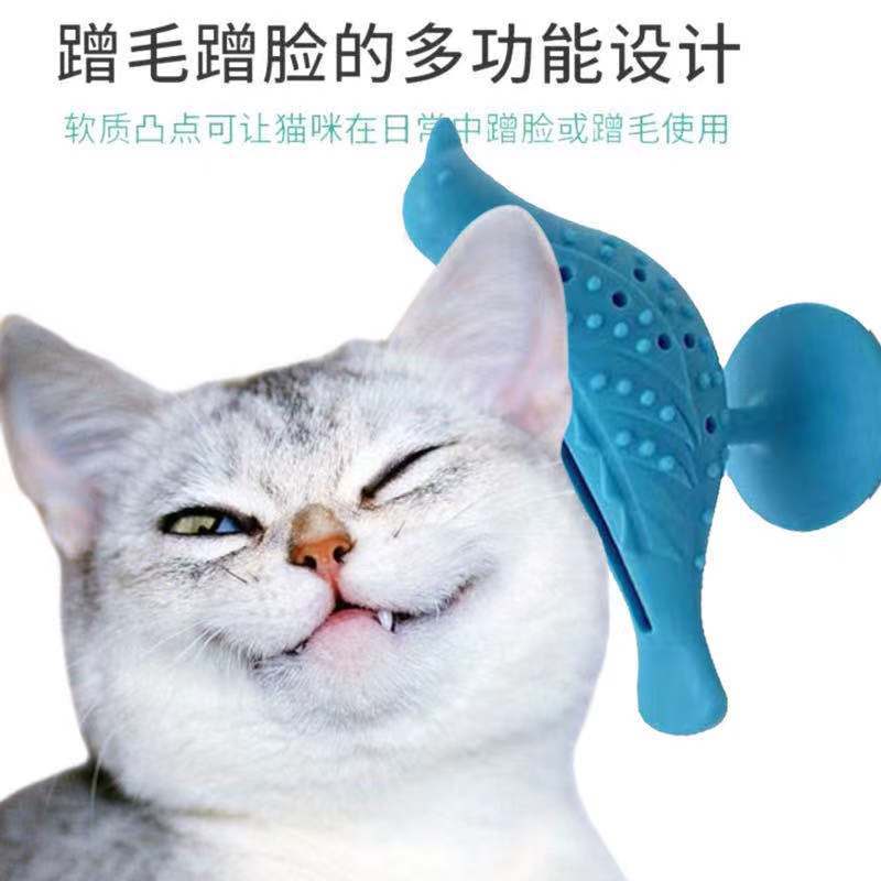 微信图片_20210726145431