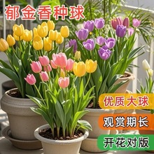 Nˮֲ̨҃ͺˮBûܷN