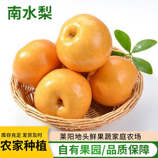 ��̨��ˮ����l3/9�����r��ժ��ˮ��Ƥ����֭�ЋDˮ������ˮ��