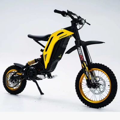 Black Bee Rattlesnake – Elektrikli motosikletlər