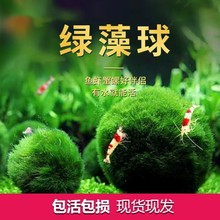 ~ˮ쾰ˮˮݾGBƿG΢^