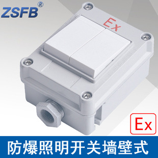 SWB10IIS���������_�P����ʽ���10A늉�220V���_���������_�PIIC