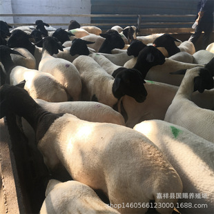 �Ų��d��r������ ���^�Ų��d�����ĸ������X �Ų��d���ȥ���I