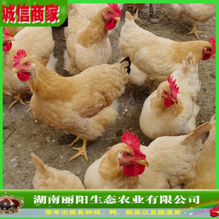 �������S���u���S�����u�л��w���_�u�r����B�u���B�û����е��u