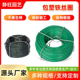 厂家批发软扎线家用园艺花卉爬藤植物造型diy牵引绿色包塑铁丝圈