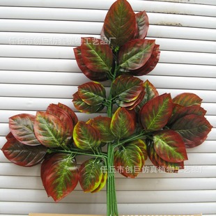 �����Sɫ�~�Ӵ��~�����m�~Ƭ�^�z���~����ֲ�������֦���l