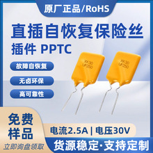 �������˿pptc30V2.5A2500mAֱ���Իָ�����˿RUEF250 X30UF250