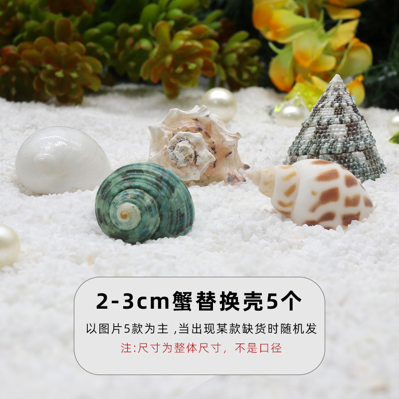 "2-3cm 게 교체 껍질 5개 [결합 팩 A] ""다양한 모양""."