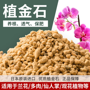 �M��ֲ��ʯ�m�����ú�ɰ������I�B�����|��������m��ˮֲ��