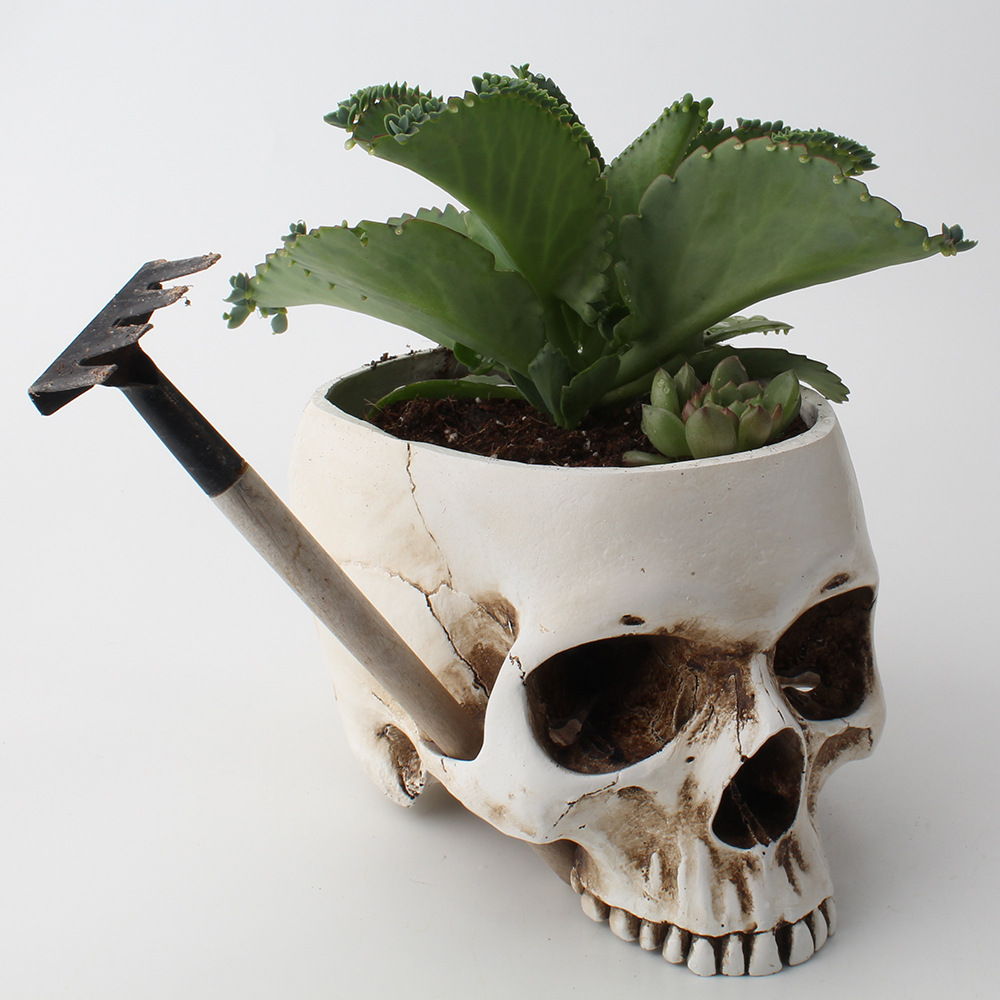 个性骷髅收纳头骨花盆创意透气树脂家居园艺仿古植物盆栽容器摆件