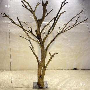 �ɷ��x�b������ȿݘ䌍ľ�������ߘ�ɷ���ľ��֦�������r��