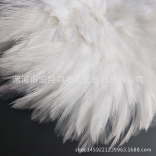 厂家批发公鸡毛可染色 4-6英寸 白项毛diy羽毛配件服装辅料