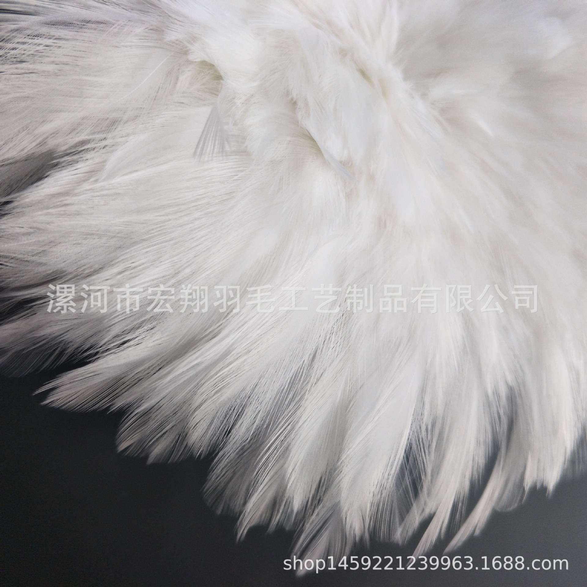 厂家批发公鸡毛可染色 4-6英寸 白项毛diy羽毛配件服装辅料