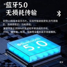 I家用音响A小型发烧电子管A2TP蓝牙BRZHIF数字功放机胆机其他无