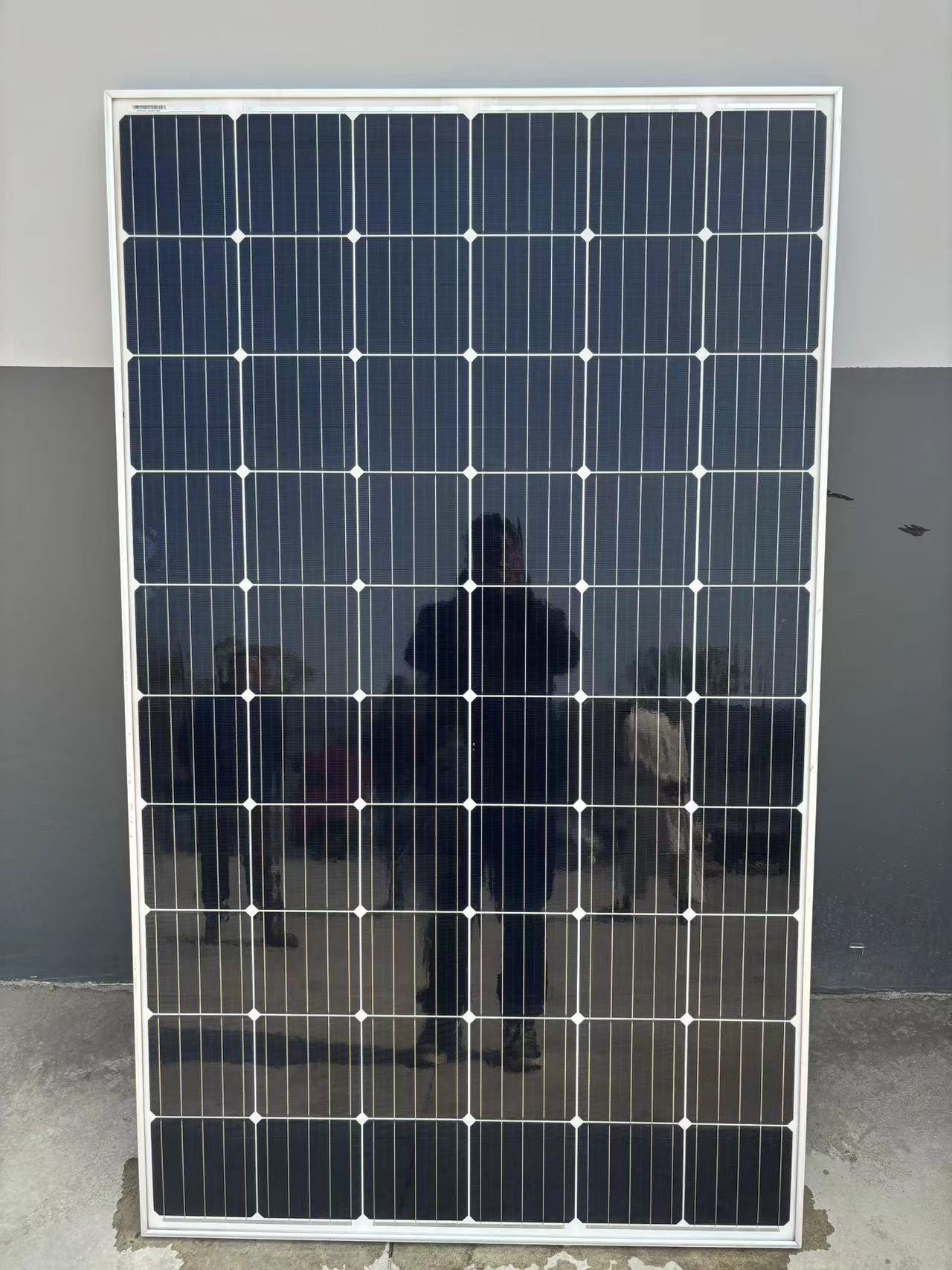 微信图片_20240311142806